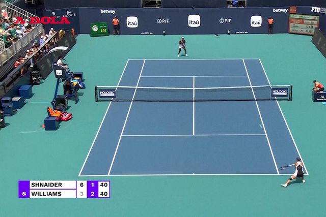 Gato interrompe partida no Miami Open