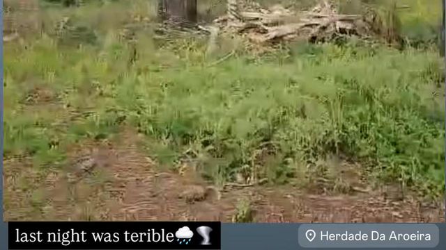 Ex-Benfica mostra estragos na Margem Sul