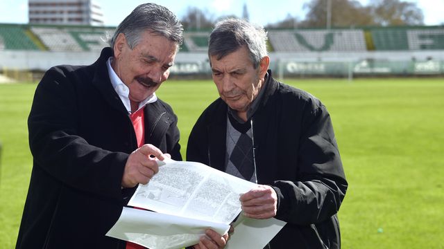 Vaz e a fotografia do 'patas de urso'