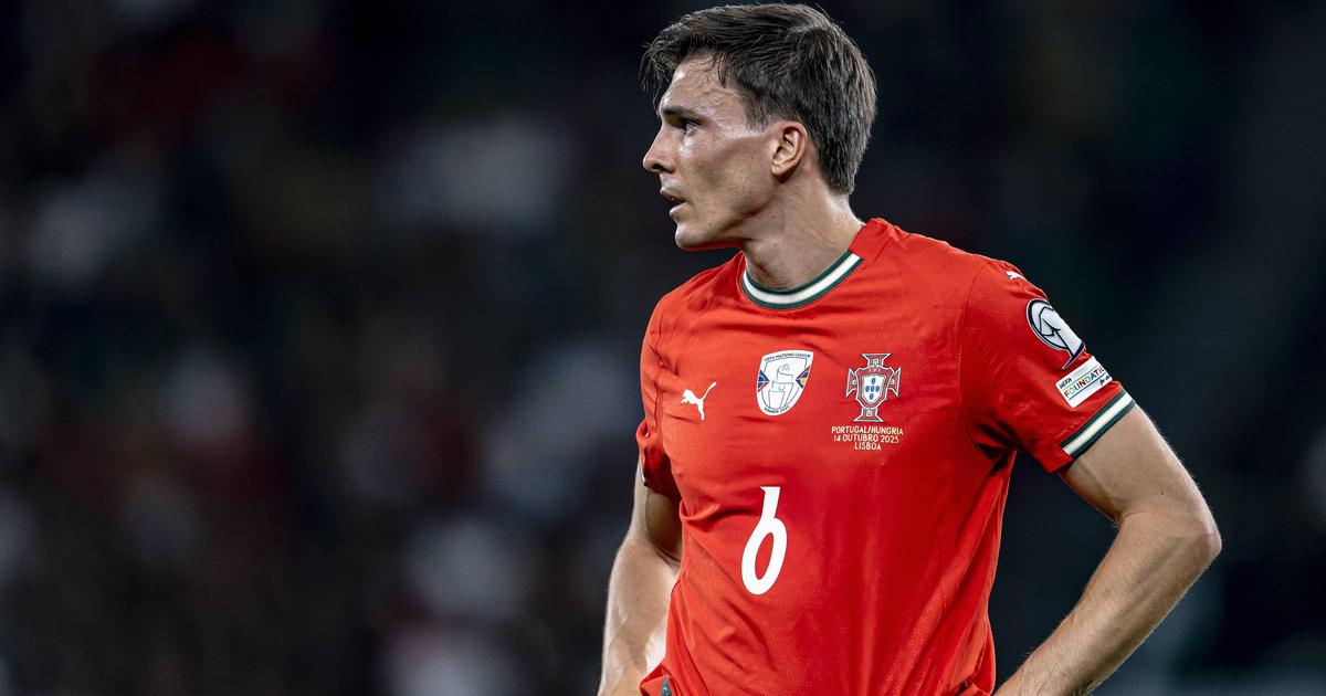 «30 milhões por Palhinha parece excessivo»