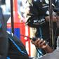Michael Jordan faz história... no NASCAR: «Nem sei o que dizer»