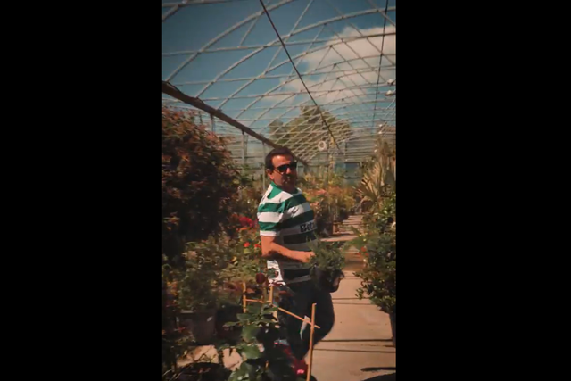 «Chega de rumores»: a nova pele do leão (vídeo)