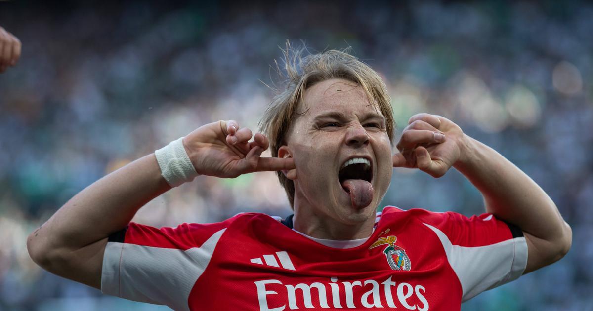 Mercado: Benfica faz oferta milionária para Schjelderup reno