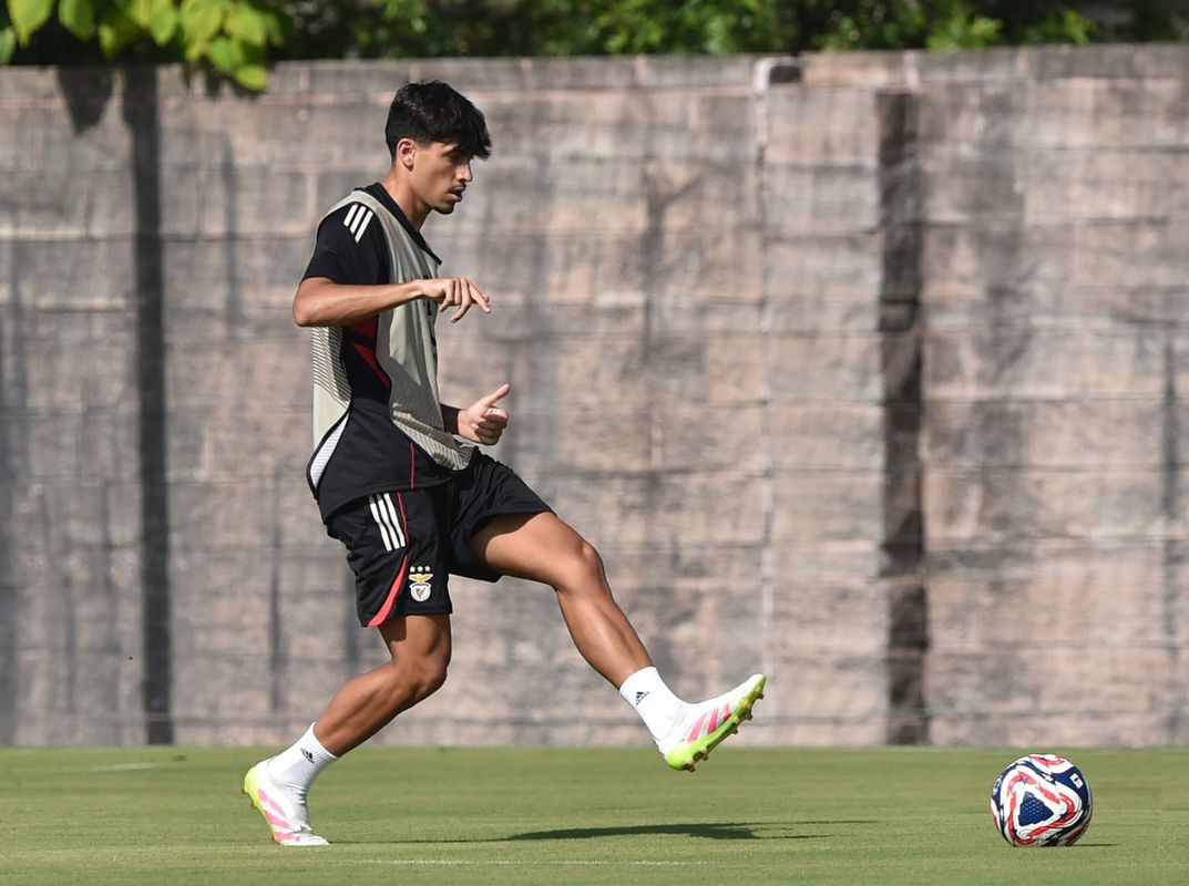 João Veloso diz que as coisas «estão a correr bem» no Benfica