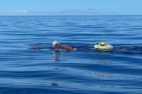 Completa distância da maratona a nado entre Madeira e o Porto Santo