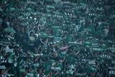 Adeptos vão poder assistir ao primeiro jogo em Alvalade no próximo dia 25 diante do Mónaco - Foto: SPORTING CP