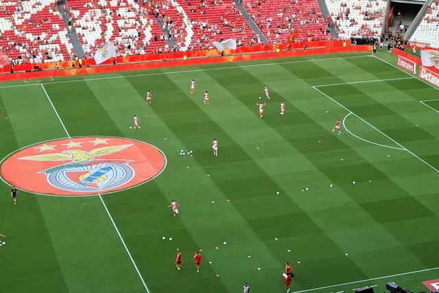 Primeiro momento de euforia no Estádio da Luz