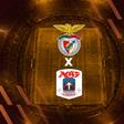 Benfica-Aarhus: luta contra último obstáculo antes da fase de liga começa na Luz