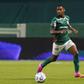Allan Elias soma 95 jogos pelo 'Verdão' orientado pelo português