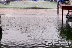 Jogadores do 1.º Dezembro 'meteram água'