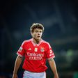 Destaques do Benfica nos Açores: brilha João Neves, mas há surpresas!
