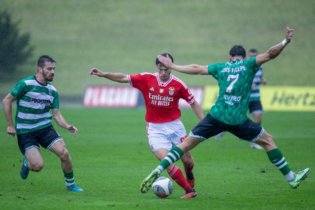 Roger Schmidt: «Algo especial no Benfica é formar jogadores como João Neves»