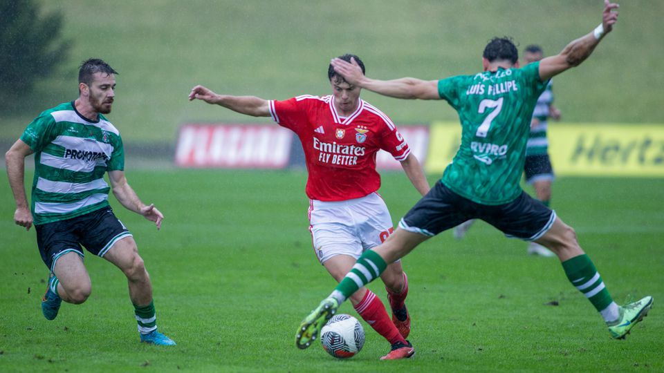 Roger Schmidt: «Algo especial no Benfica é formar jogadores como João Neves»