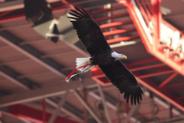 MAG do clube da Luz emitiu um comunicado esta segunda-feira - Foto: SL Benfica