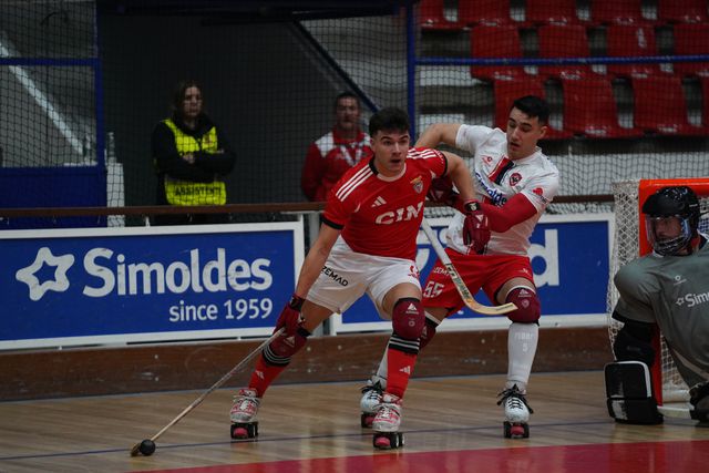 Benfica somou contra a Oliveirense a segunda vitória na Liga dos Campeões esta temporada (WSE)