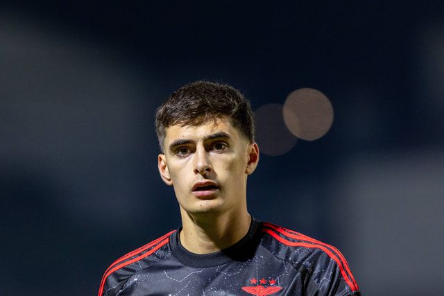 «Newcastle ofereceu 50 milhões por António Silva, Rui Costa disse que era pouco»