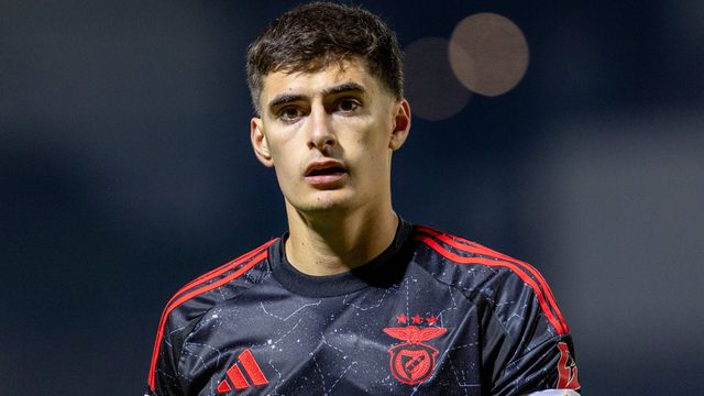 «Newcastle ofereceu 50 milhões por António Silva, Rui Costa disse que era pouco»