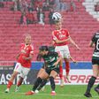 Sporting e Benfica defrontam-se este domingo em jogo do Campeonato de futebol feminino - Foto: Imago