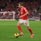 Andreas Schjelderup em ação com a camisola do Benfica