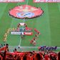 Estádio da Luz ao rubro com a entrada de Benfica e Aves SAD em campo