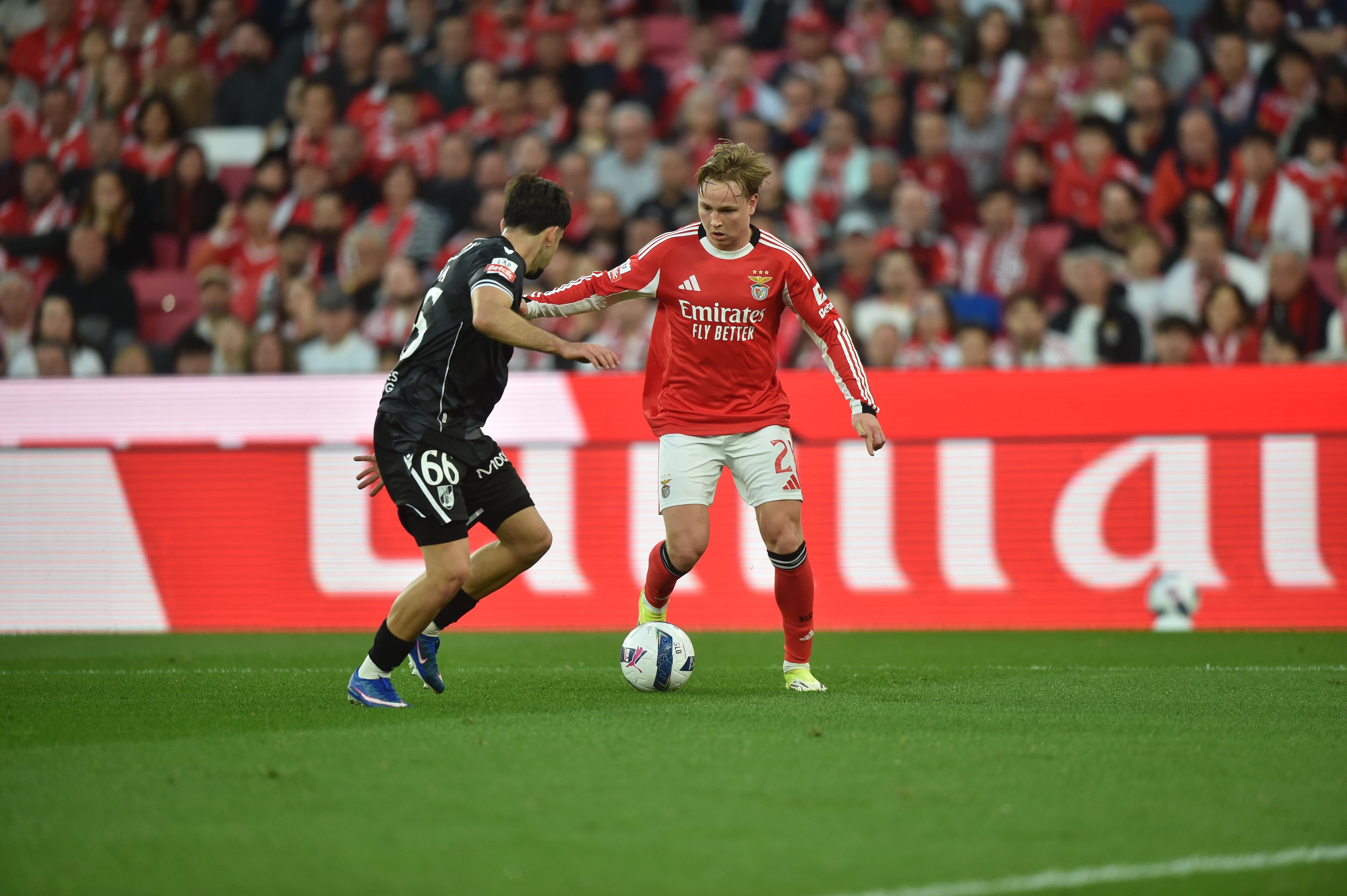 Schjelderup em ação frente ao Vitória de Guimarães - Foto: Miguel Nunes