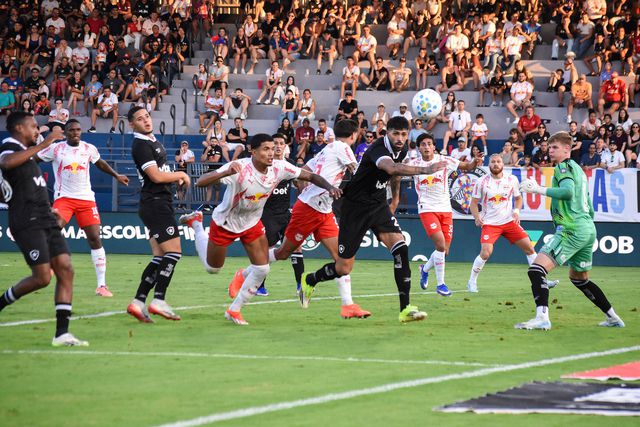 Botafogo quebra jejum de vitórias e Anselmi ganha balão de oxigénio