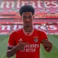 Extremo vai sair do Benfica a custo zero
