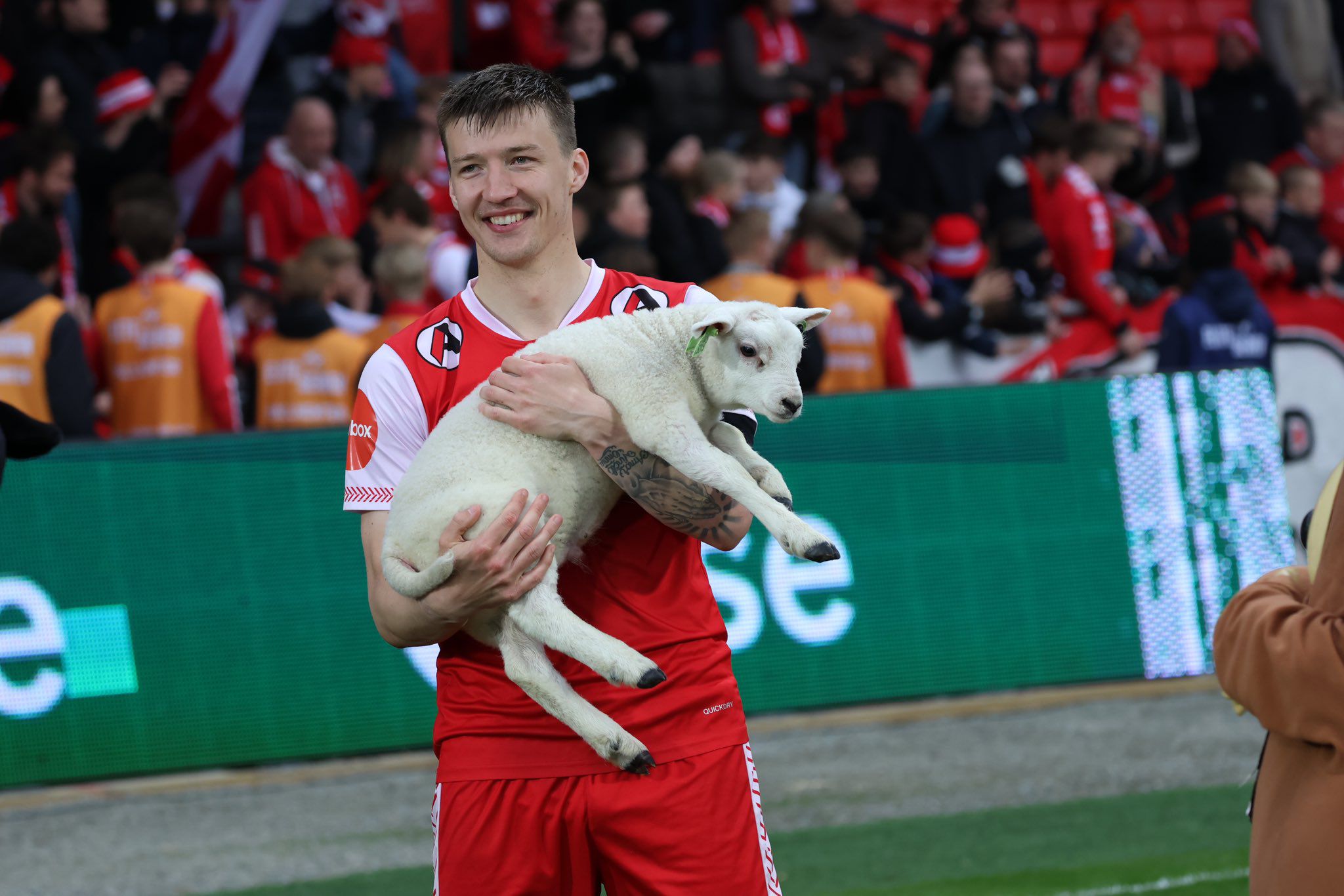 Axel Kryger segura um borrego vivo