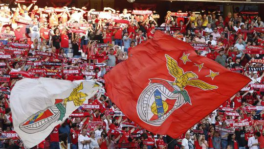 Benfica: TAD anula multa de mais de 6 mil euros
