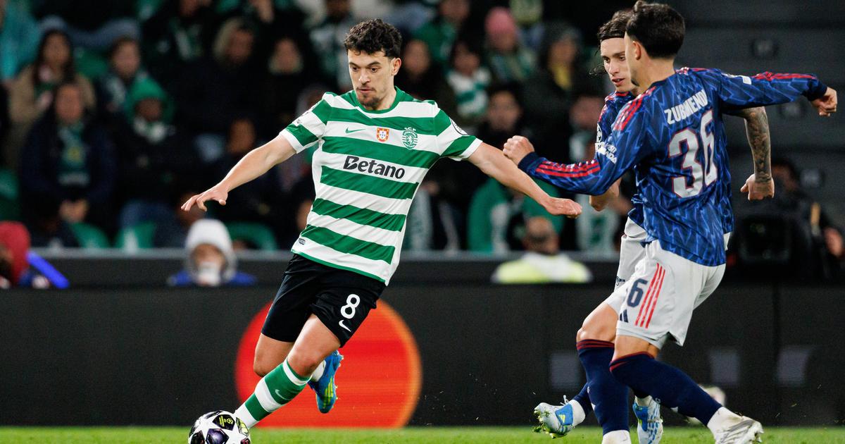 Sporting pode arrecadar mais de €48 milhões no domingo: todas as contas do leão na Champions