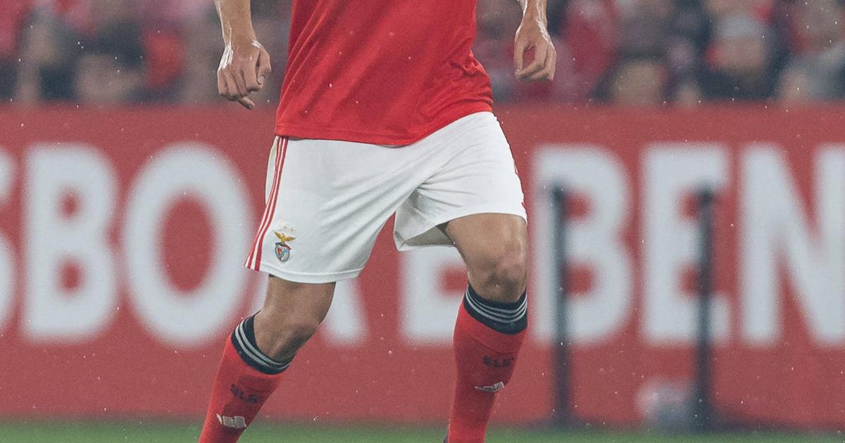 «Dificilmente chegará à Luz proposta por António Silva nos valores que o Newcastle apresentou»