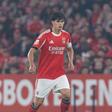 «Dificilmente chegará à Luz proposta por António Silva nos valores que o Newcastle apresentou»