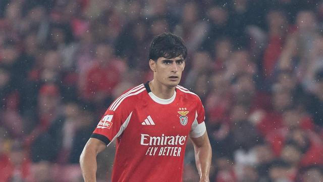 «Dificilmente chegará à Luz proposta por António Silva nos valores que o Newcastle apresentou»
