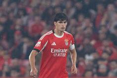 «Dificilmente chegará à Luz proposta por António Silva nos valores que o Newcastle apresentou»