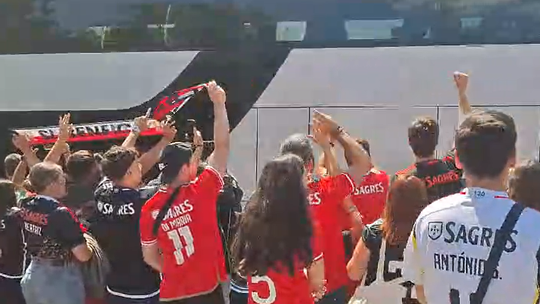 Benfica recebido em euforia para jogo com o Almería