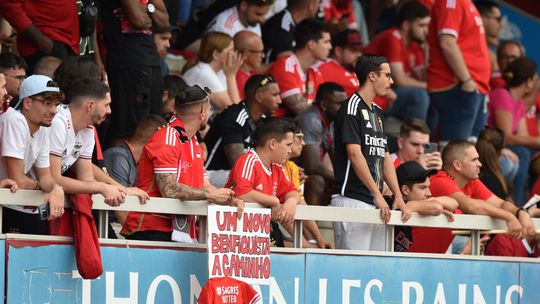 Vídeo: invasão tolerada após o jogo do Benfica