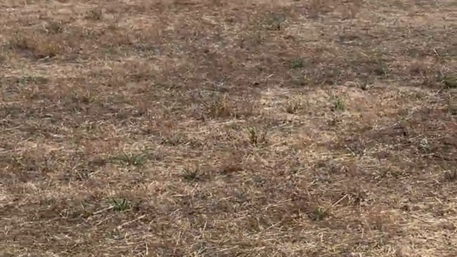 Vídeo: Mulher partilha início do último voo de Baumgartner