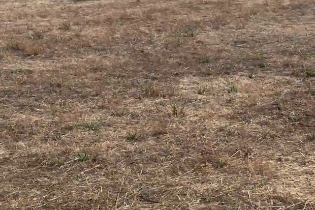 Vídeo: Mulher partilha início do último voo de Baumgartner