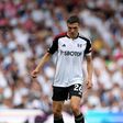 Jogador do Fulham 'apaixonado' por Palhinha