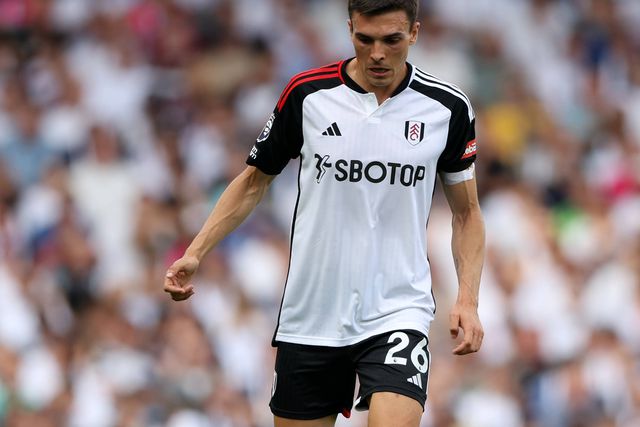 Jogador do Fulham 'apaixonado' por Palhinha