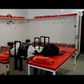 Os bastidores da vitória do Benfica na Vila das Aves
