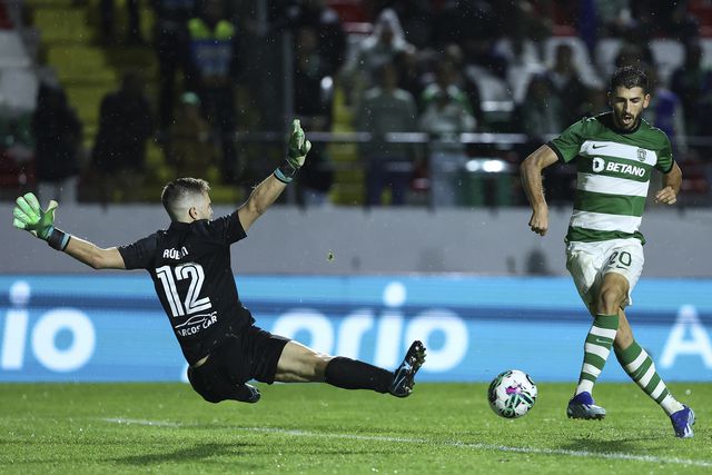 «Fomos simplesmente incríveis»