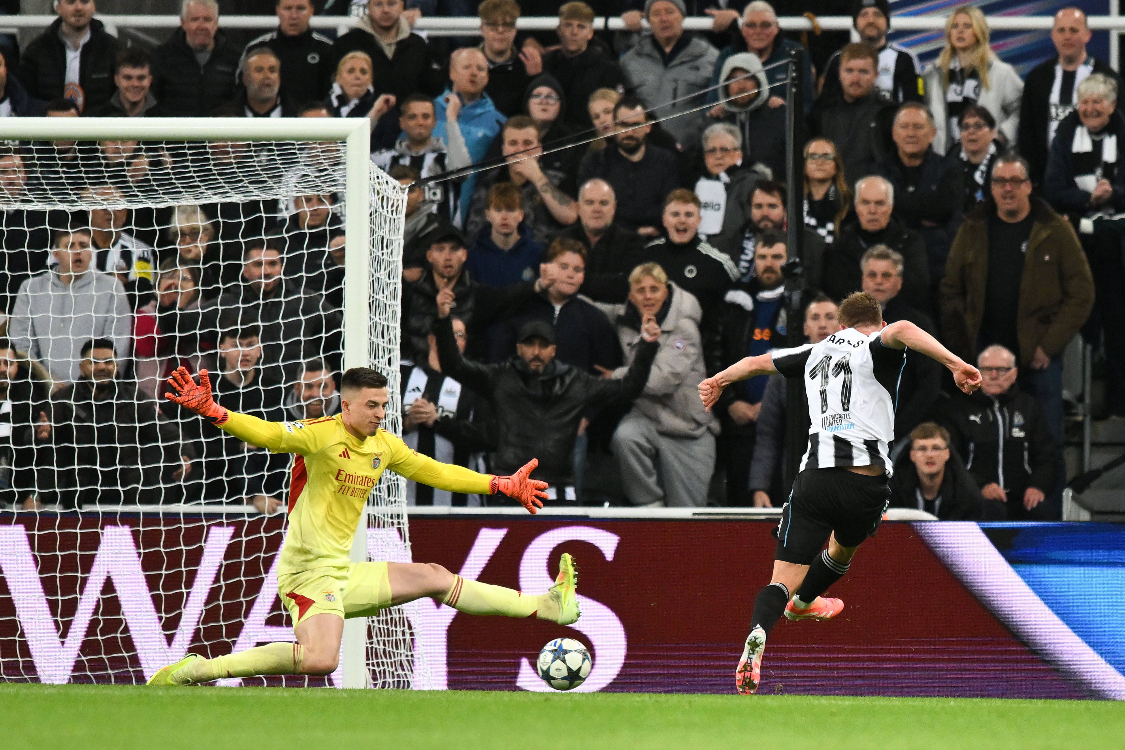 Barnes fez o 3-0 do Newcastle frente ao Benfica
