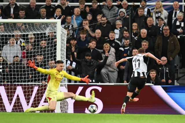 Barnes fez o 3-0 do Newcastle frente ao Benfica
