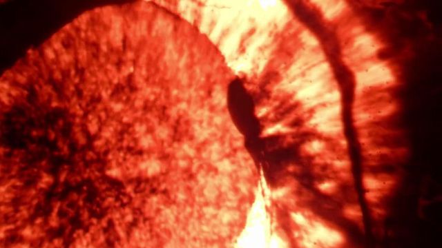 «Amizade eterna»: Torino lança camisola em homenagem ao River Plate