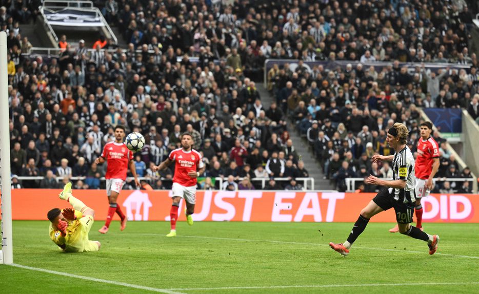 O momento em que Anthony Gordon fez o 1-0 do Newcastle frente ao Benfica