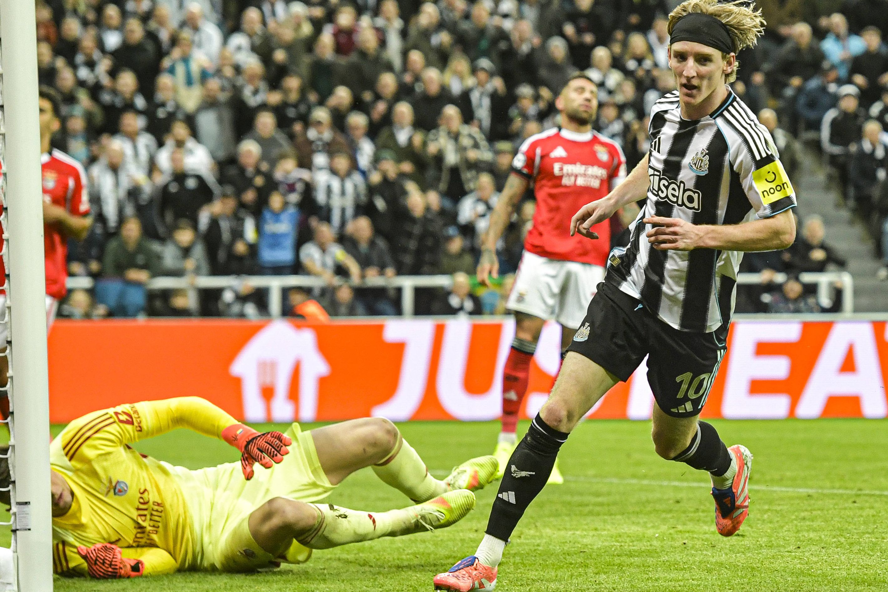 Gordon acaba de marcar o primeiro golo do Newcastle — Foto: IMAGO