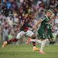 Flamengo e Palmeiras têm dominado o futebol no Brasil nas últimas épocas — Foto: IMAGO