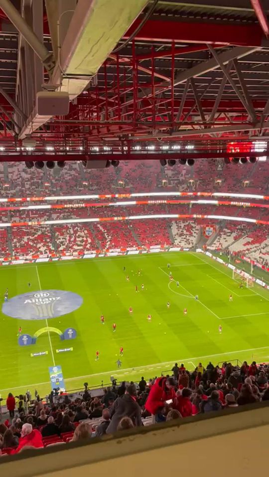 Estádio da Luz aplaude após o nome de Schmidt ser anunciado