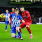 Nulo entre Brighton e Wolverhampton fecha jornada 21 da Premier League